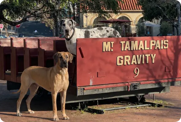 mt-tamalpais-gravity